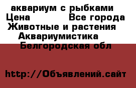 аквариум с рыбками › Цена ­ 1 000 - Все города Животные и растения » Аквариумистика   . Белгородская обл.